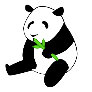 Facts About Pandas | One