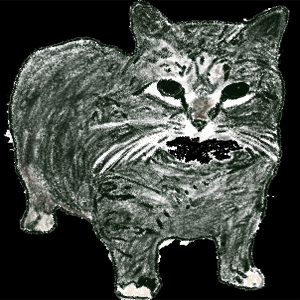 914,4 eksamens versjon 