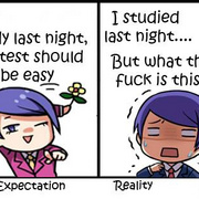 Expectation V.S. Reality