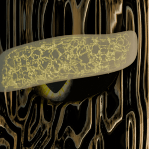 Chapter six: The Scorching Embers of Justice