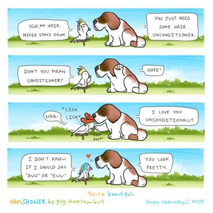 pda.
