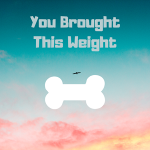 You Brought This Weight