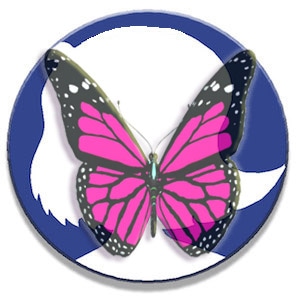 Caterpillars Redux (part 2)