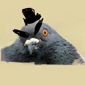pigeons would look neato with eyebrow