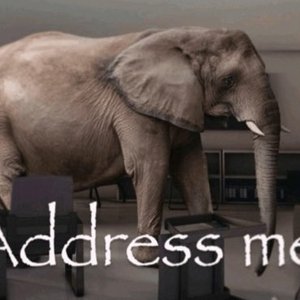 Episode 6 - Final Trial