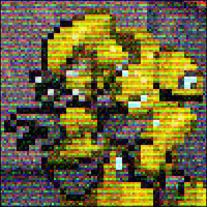 The Way She Likes it