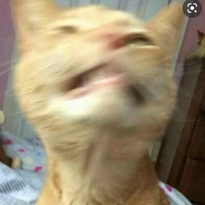 Will post in a bit, sorry.