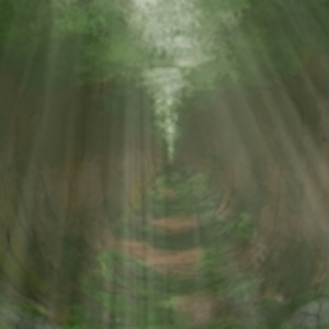 Into the Old Forest Depths