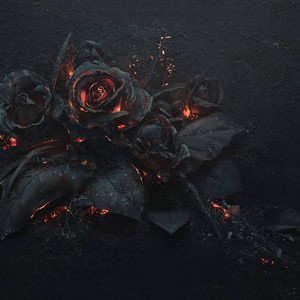 Roses and Ashes