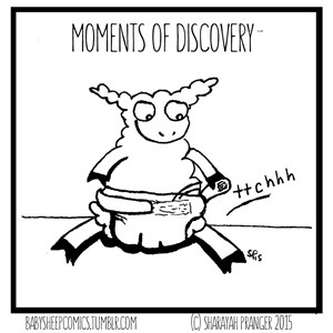 Moments of Discovery