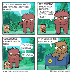 Litter, Boxes, &amp; Litter Boxes