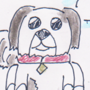 Jackcaw - Cute or Cake