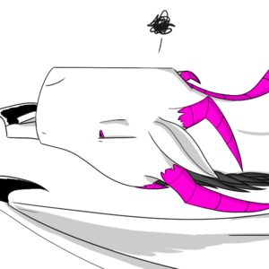 Welcome to the Universe