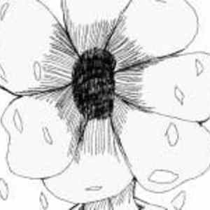 EPISODE 2-4