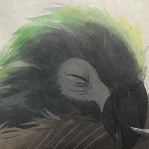 Pov : you find a naked man in your chocobo stable