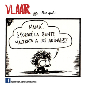 13 | Por qu&eacute;