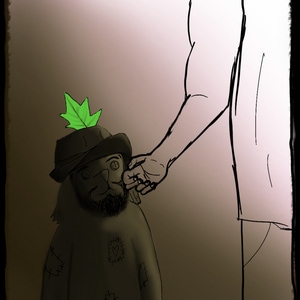 Shopping Carts and Shooting Stars