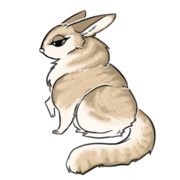 Sketches and Doodles