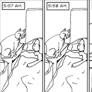 Alarm Cat
