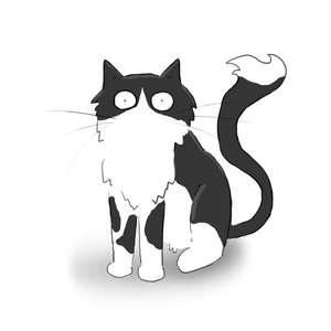 Beautiful News! - Steely (West Sussex, UK)