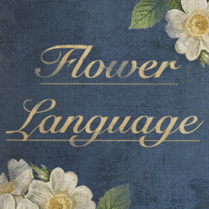 Flower Language Collab
