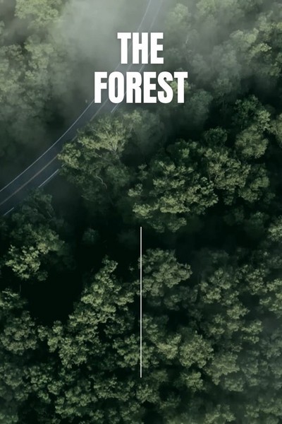 THE FOREST