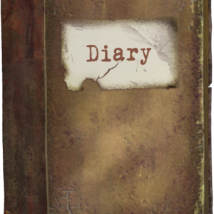 Diary 2- The little jew girl