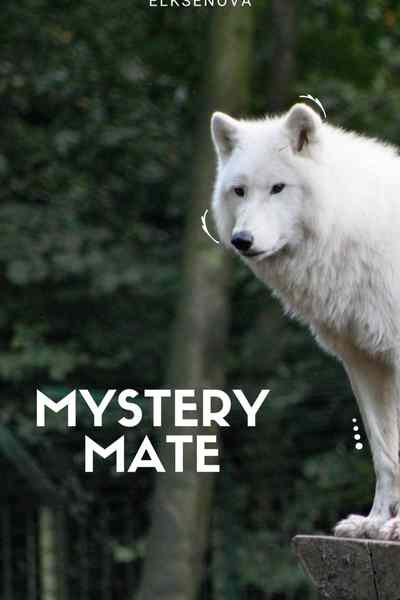 Mystery Mate