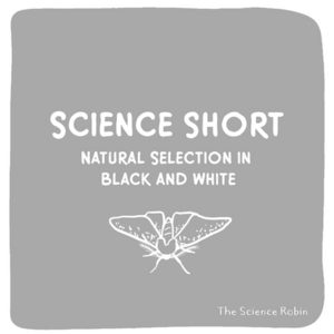Science Short: Natural Selection in Black and White