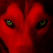 Heart of a Berserker