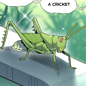 EXTRA #2 - Crickets and grasshoppers