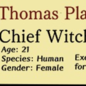 Chief Witch