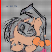 A Cats life 
