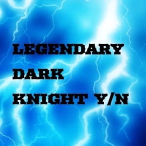Mission 11: Legendary Dark Knight Y/n