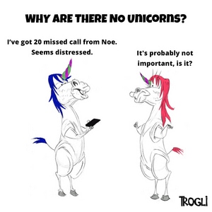 Why are there no unicorns?