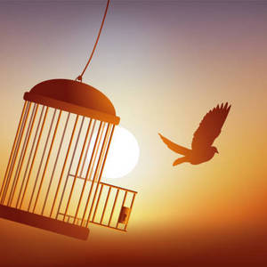 The Bear and The Tower III