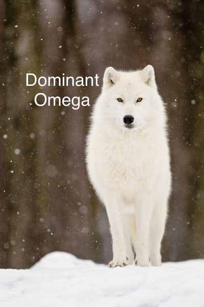 The dominant omega