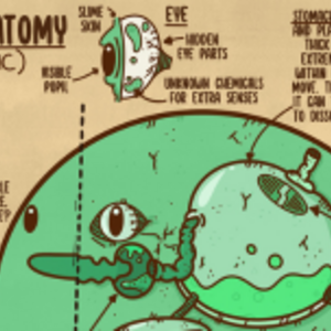 (Almanac Of Gloop) Basic Anatomy