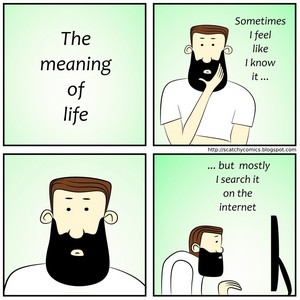 The meaning of life