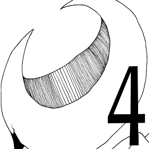 Chapter 2 page 4