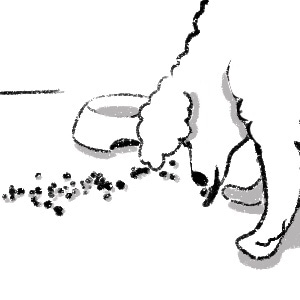 from the floor better than bowl