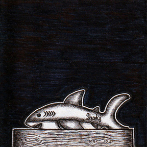 Chapter 16 - Sharkdudu