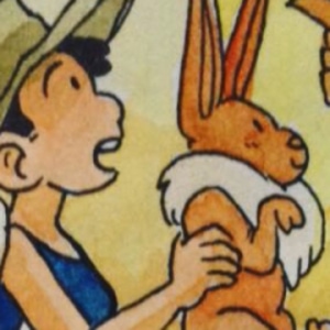 Wrong moss covered rock