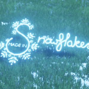 Made in Snowflakes