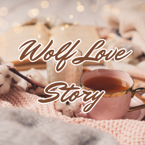 Wolf Love Story