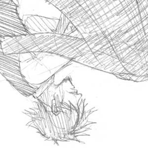 New Beginning (part 2)