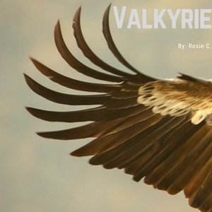 Chapter 1: Valkyrie