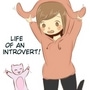 life of an introvert