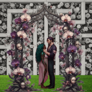  The Dollhouse Widow: Book One  The Land of L&eacute;b&eacute;tan 