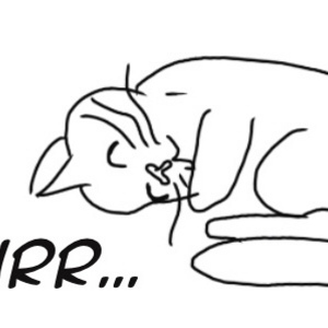 The Fellowship of the Ring 1